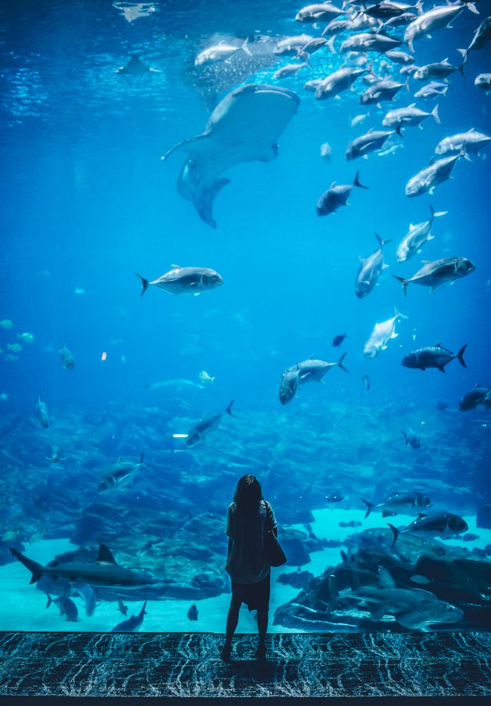 Wycieczki w Marsa Alam