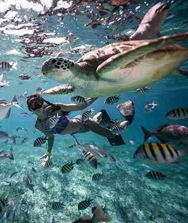 Wycieczki fakultatywne z Hurghady i Marsa Alam