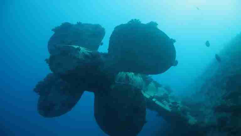 Wycieczki fakultatywne z Hurghady i Marsa Alam