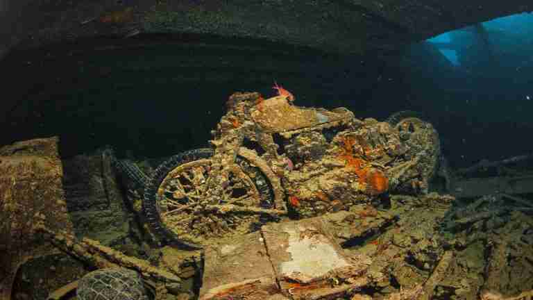 Wycieczki fakultatywne z Hurghady i Marsa Alam