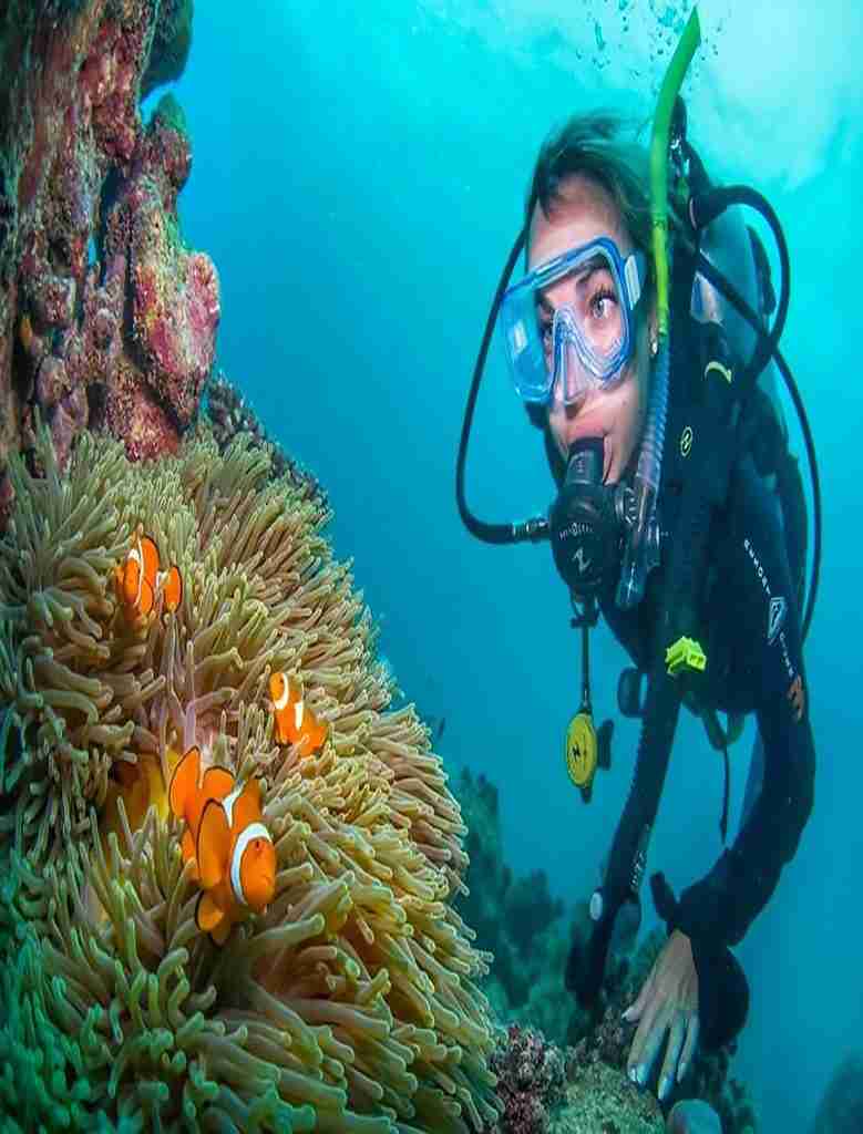 Sataya - Rafa Delfinów w Marsa Alam