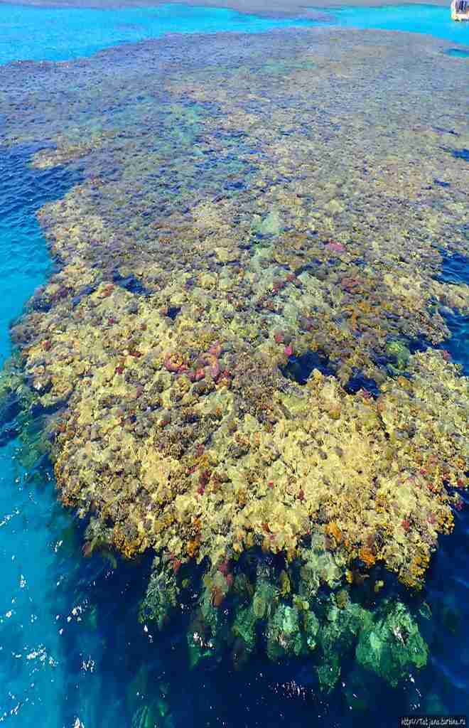 Wycieczki fakultatywne z Hurghady i Marsa Alam