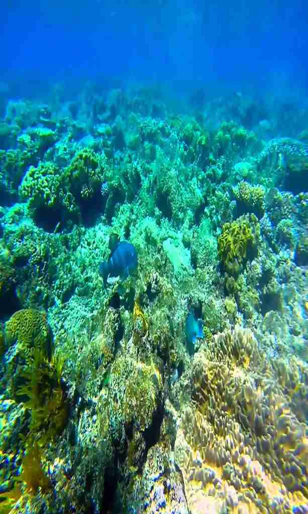Wycieczki fakultatywne z Hurghady i Marsa Alam