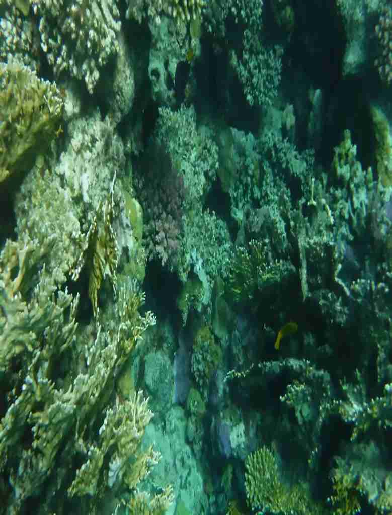 Wycieczki fakultatywne z Hurghady i Marsa Alam