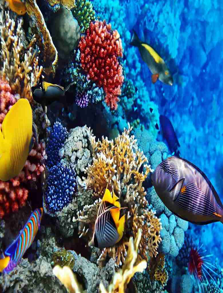 Wycieczki fakultatywne z Hurghady i Marsa Alam