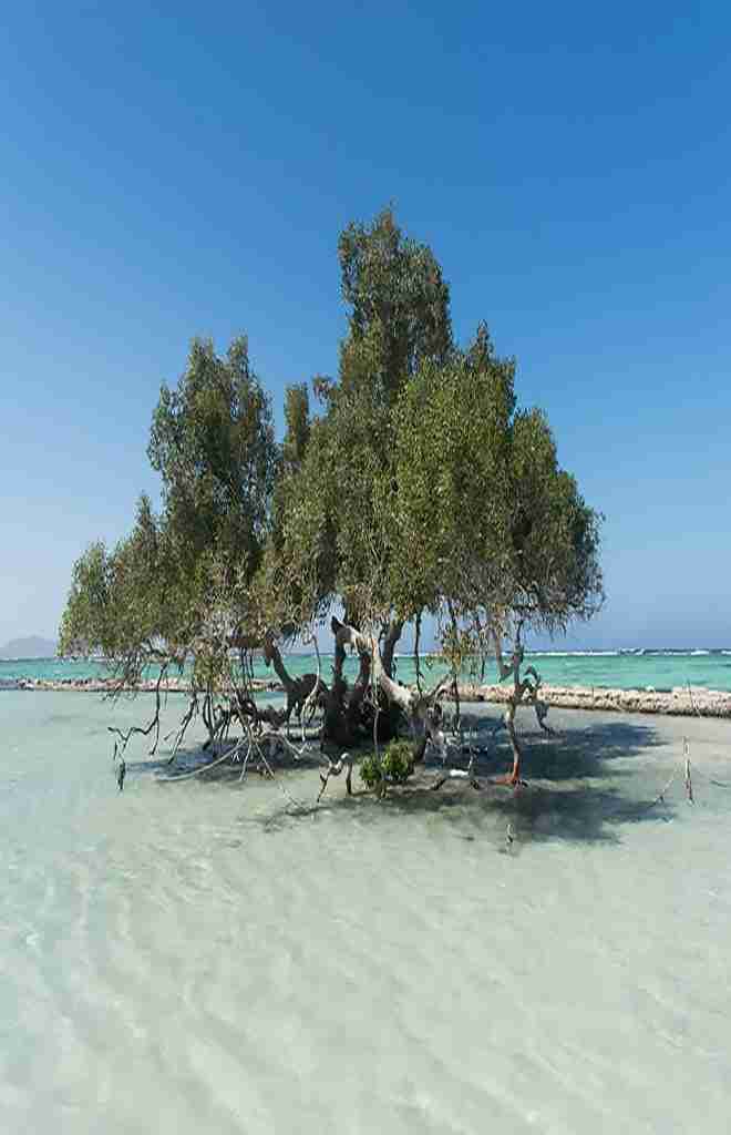 Wycieczki fakultatywne z Hurghady i Marsa Alam