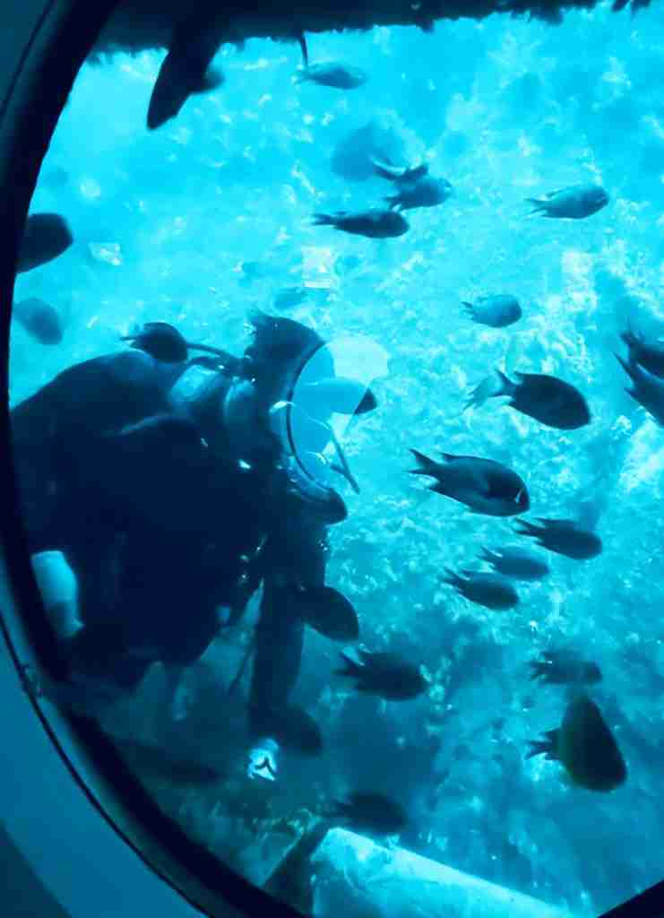 Sindbad okręt podwodny Hurghada