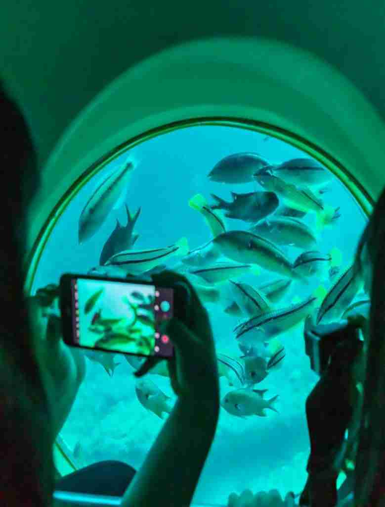 Sindbad okręt podwodny Hurghada