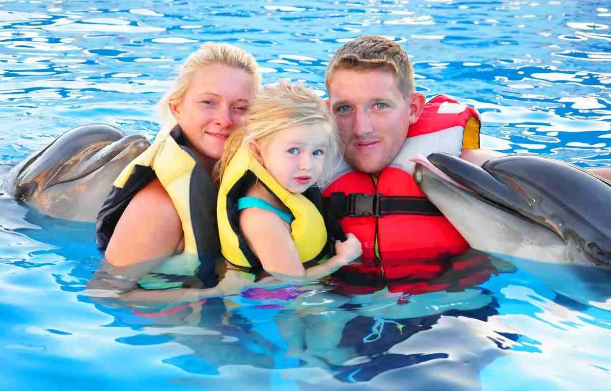 Dolphin Show w Hurghadzie