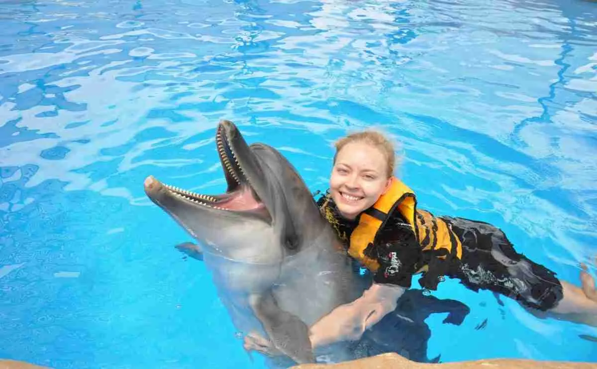Dolphin Show w Hurghadzie