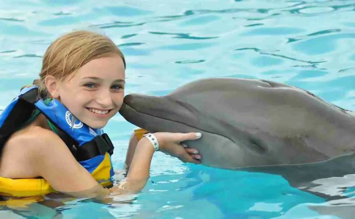 Dolphin Show w Hurghadzie
