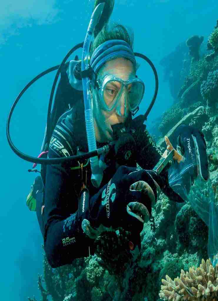 Safari Nurkowe Fury Shoals