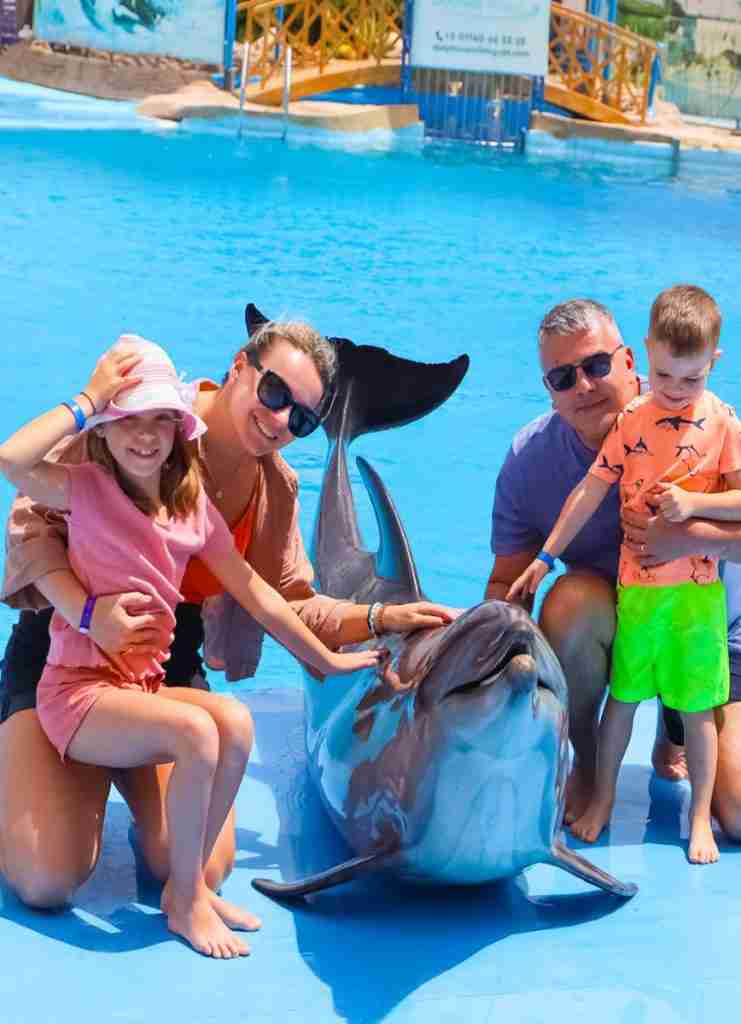 Dolphin Show w Hurghadzie