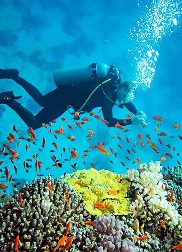 Nurkowanie Hurghada