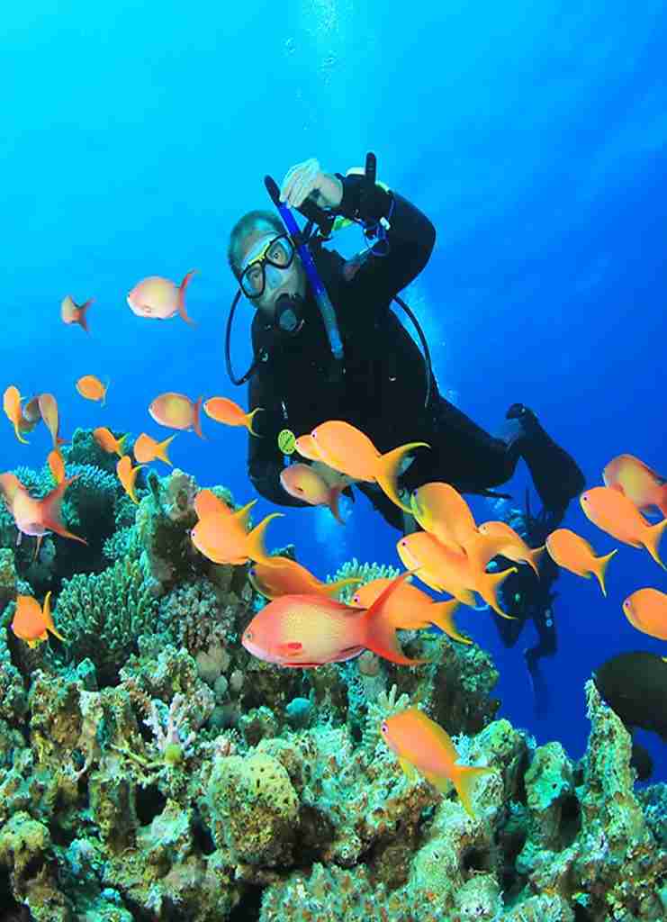 Nurkowanie Hurghada