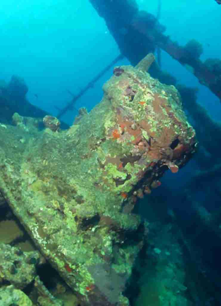 Tauchsafari ab Hurghada