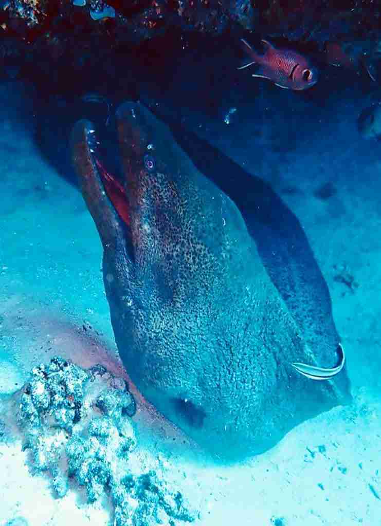 Wyspy Hamata