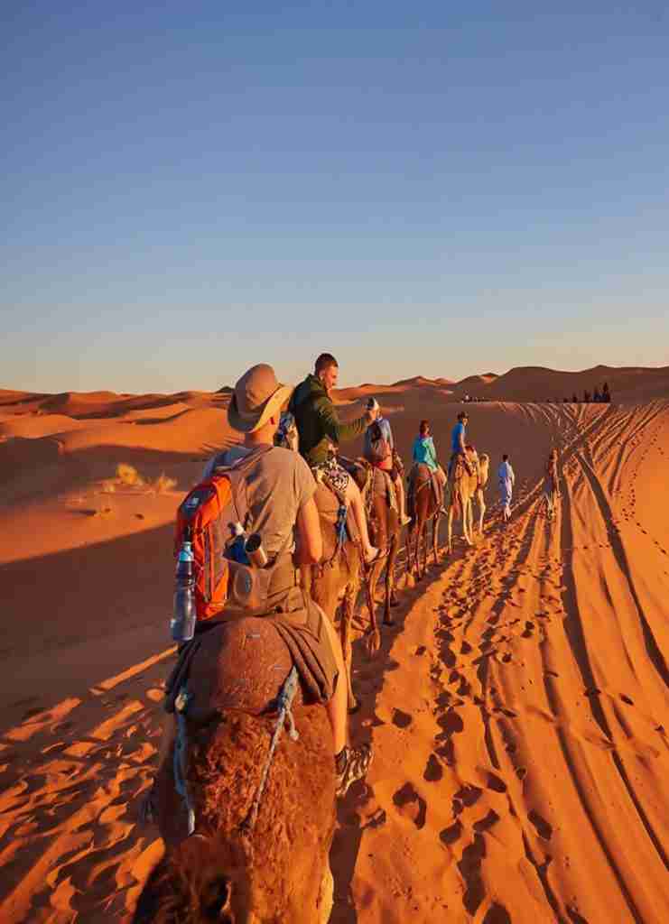 Quad Safari Afternoon Marsa Alam