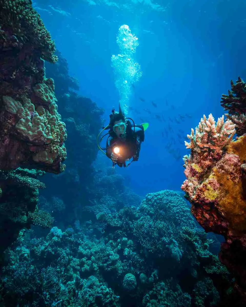Night diving tour from Hurghada
