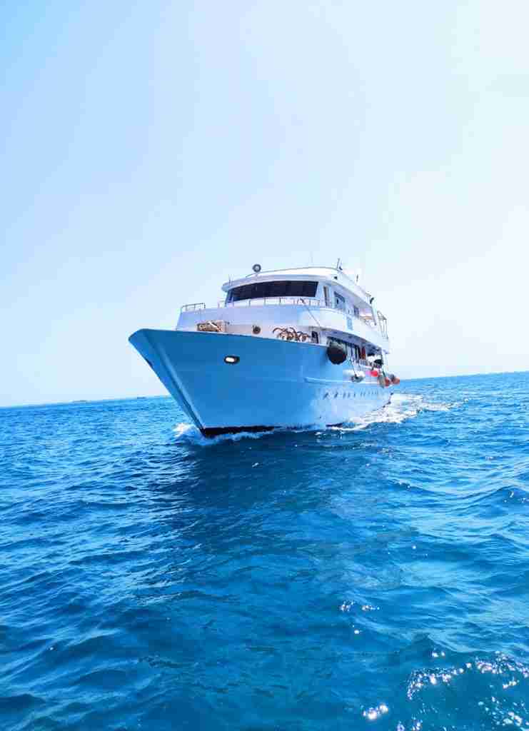 Night diving tour from Hurghada